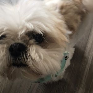 Meet your Posher, Cherie